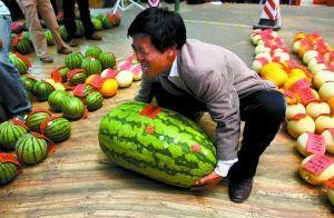 吃瓜比赛每日反差