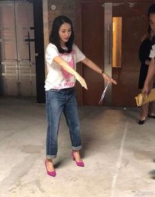 娱乐吃瓜酱衣服在线观看,揭秘明星衣橱，在线观看时尚盛宴