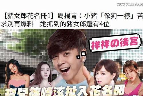 娱乐圈吃瓜系统小说,瓜田里的明星秘闻