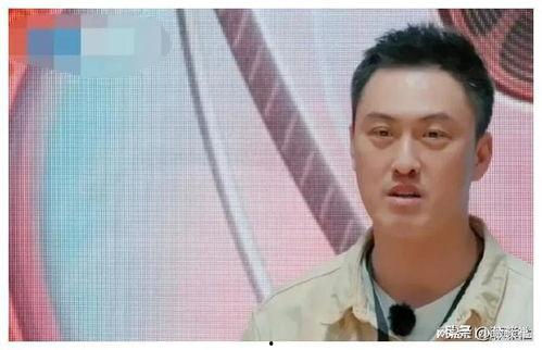 娱乐圈吃瓜爆料骗局,揭秘幕后真相，警惕网络谣言！